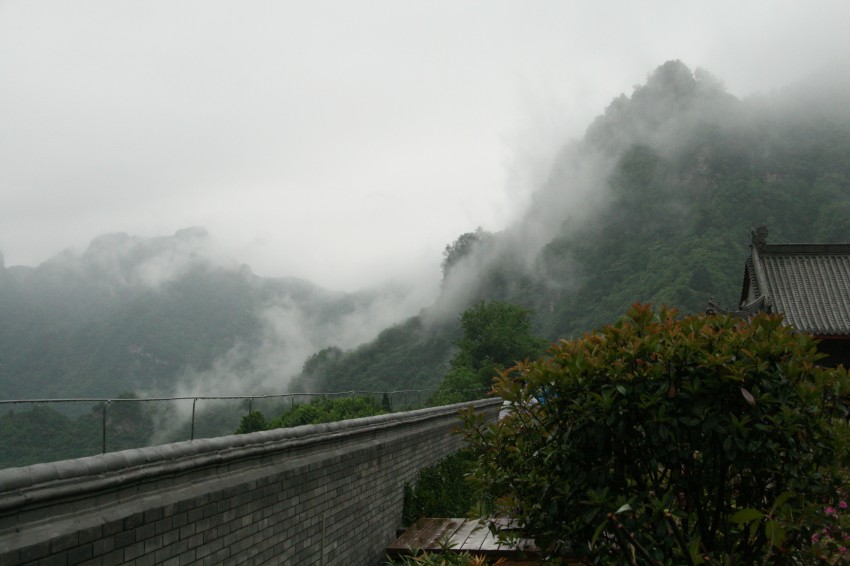 IMG_9237_conew1.jpg