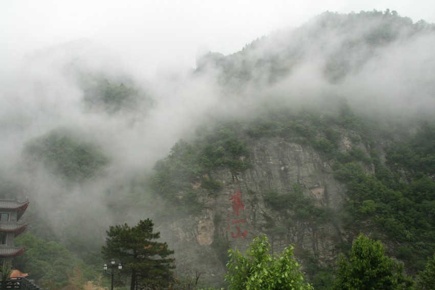 IMG_9240_conew1.jpg