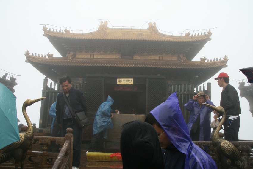 IMG_9253_conew1.jpg