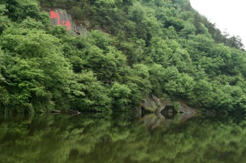 IMG_9355_conew2.jpg