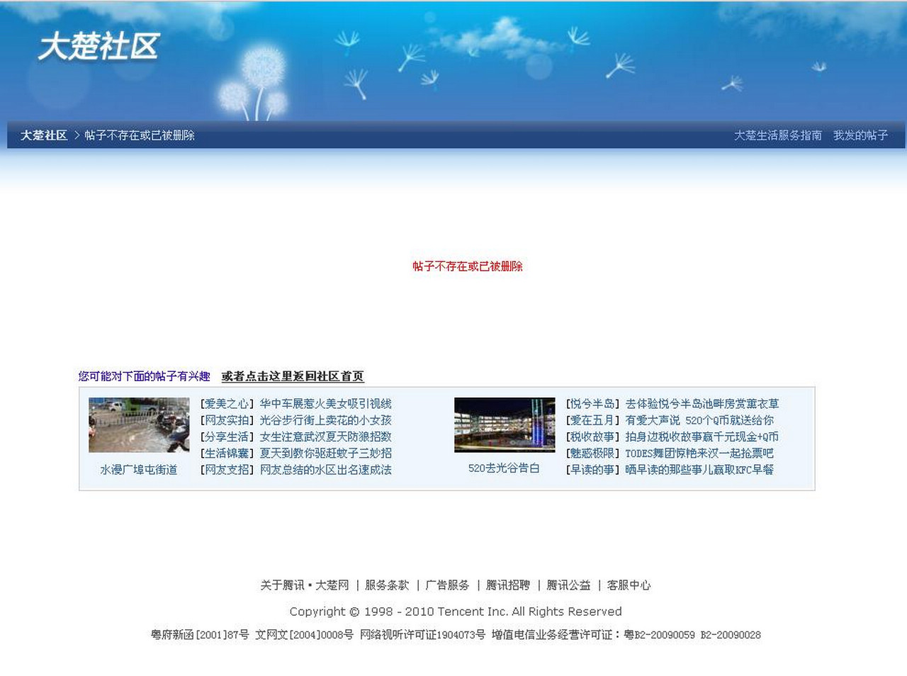 大楚网.jpg