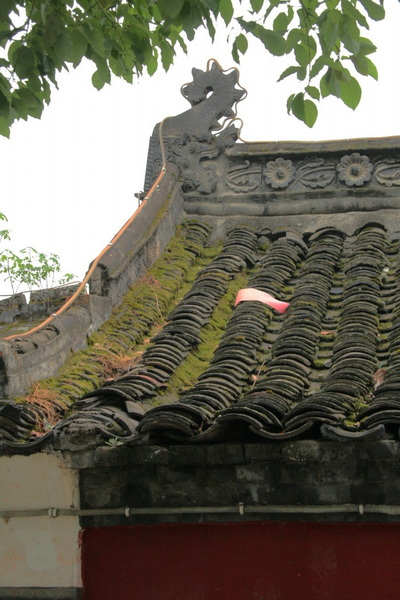 IMG_9412_conew2.jpg