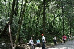 IMG_9516_conew1.jpg