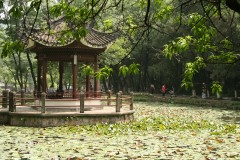 IMG_9515_conew1.jpg