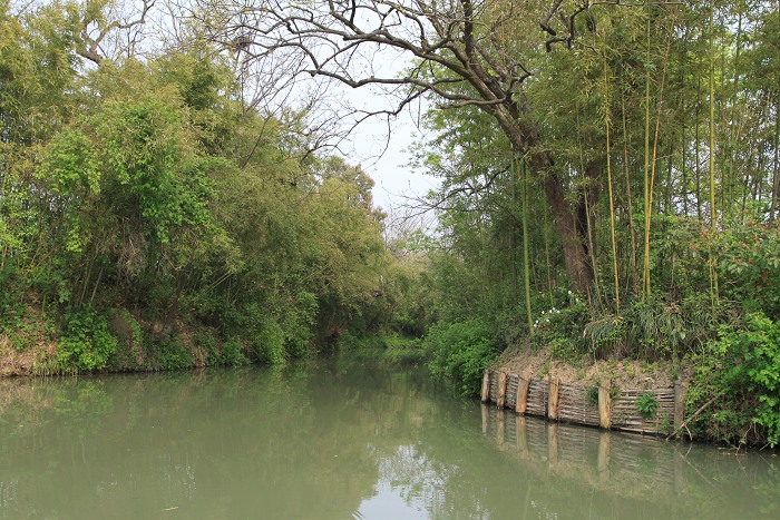 水乡（杭州西溪湿地）