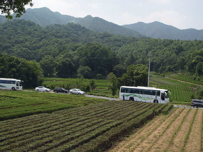 龙塢山美.茶美