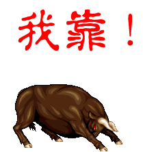 顶牛.jpg