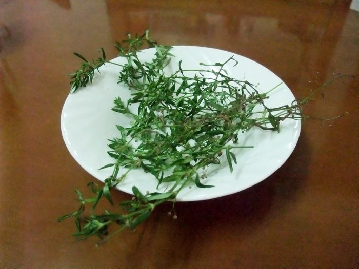 DSCF6132.JPG