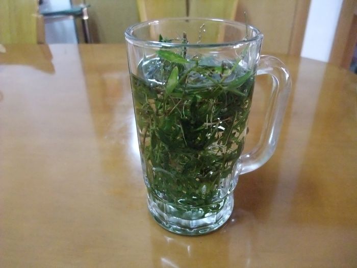 DSCF6133.JPG