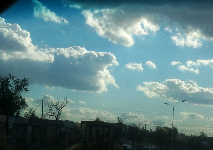 2011-06-11 17.13.36.jpg