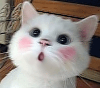 微笑.gif