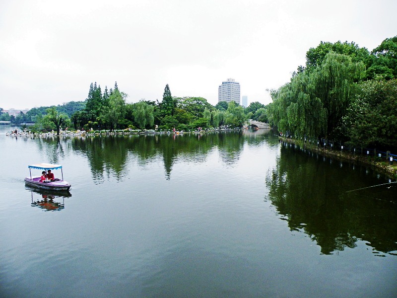 DSCF0041.jpg