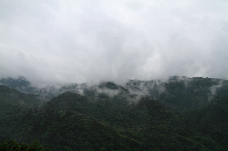 IMG_1449.JPG