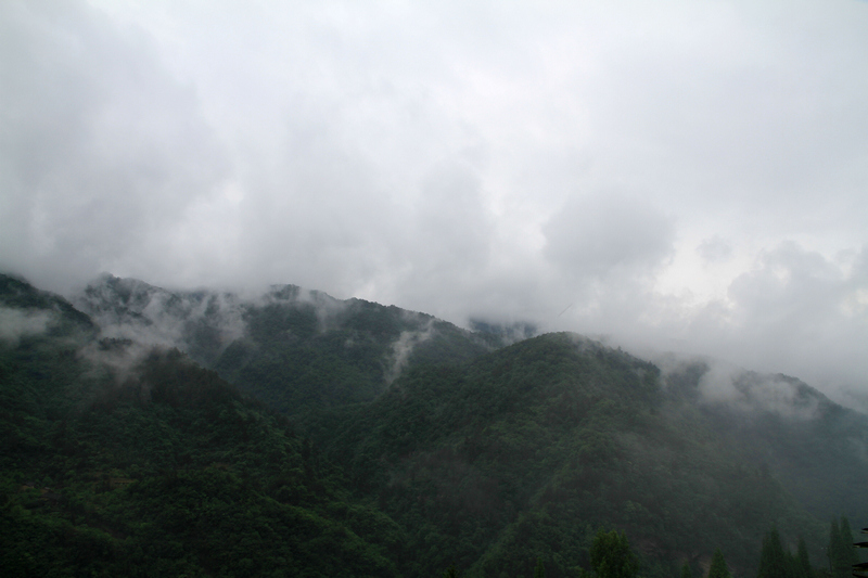 IMG_1450.JPG