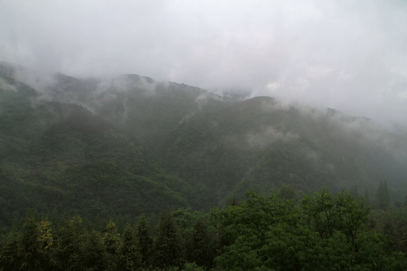 IMG_1437.JPG