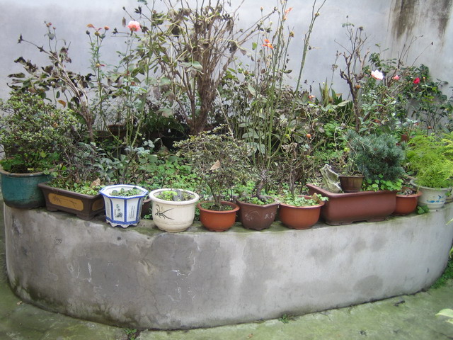 114.jpg