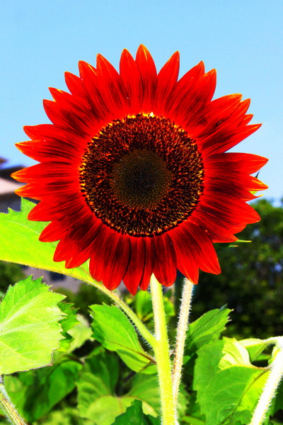 照片 055.jpg