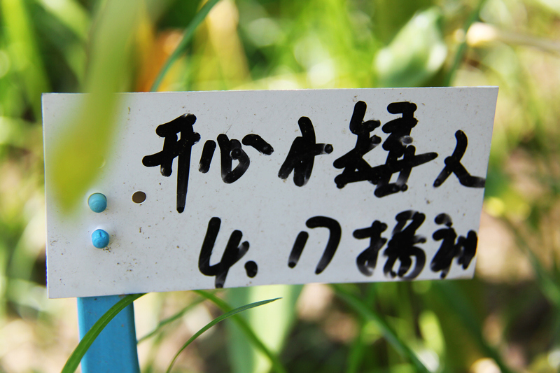 照片 050.jpg