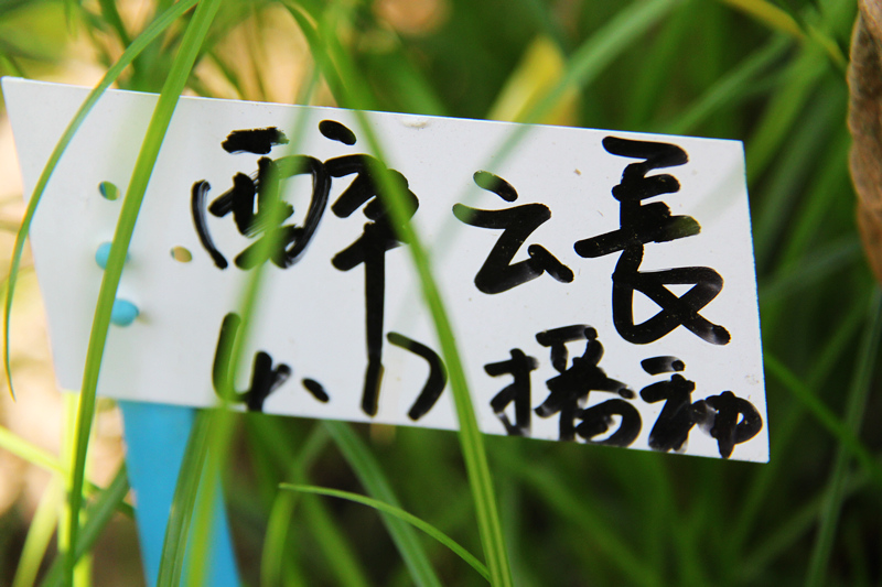 照片 053.jpg