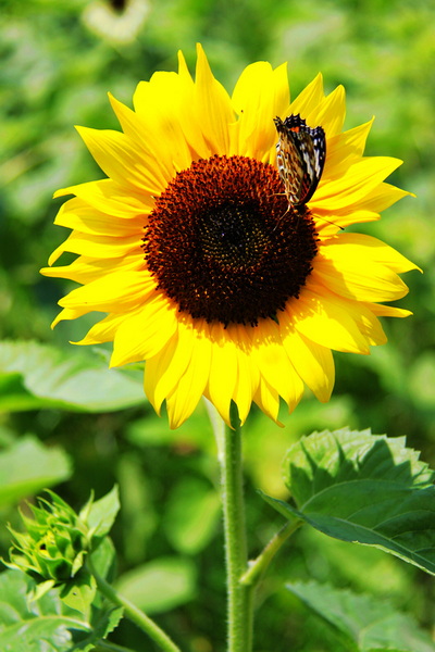照片 082.jpg