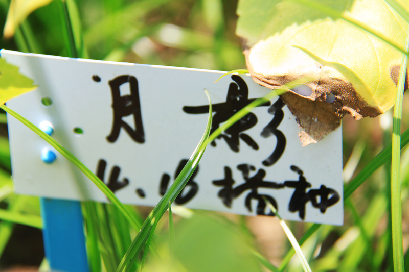 照片 122.jpg