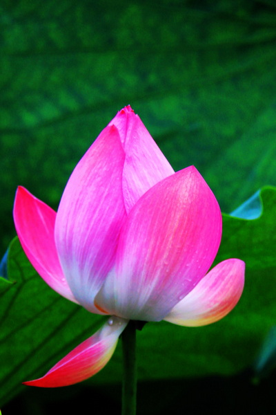 照片 213.jpg