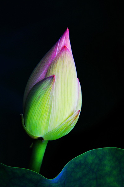照片 229.jpg