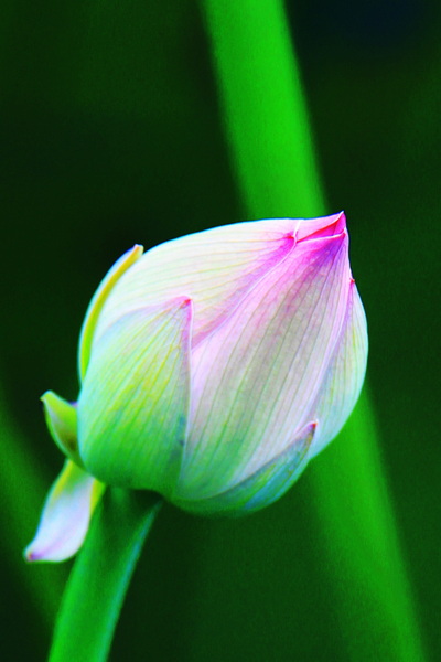 照片 230.jpg
