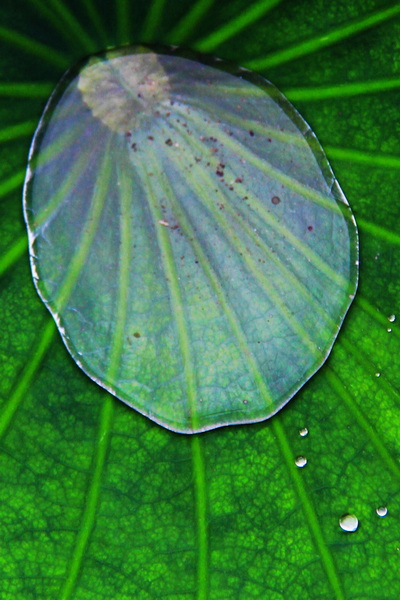照片 181.jpg