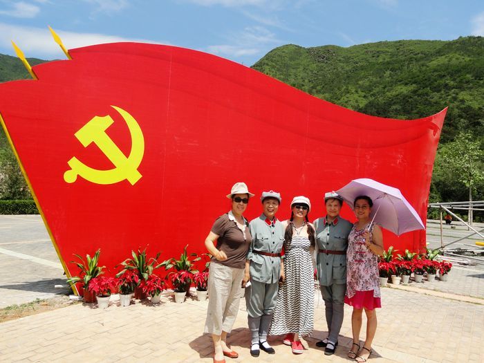 在党旗下