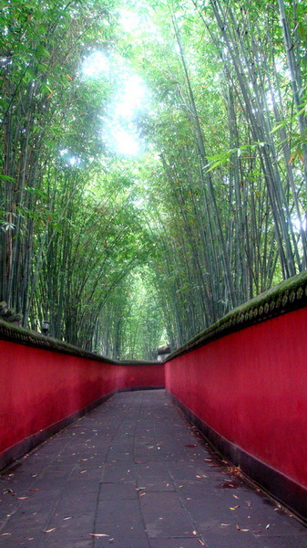 DSC00990_1.jpg
