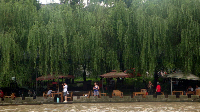 DSC01254.JPG