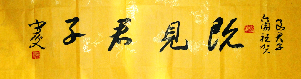 DSC030432.jpg