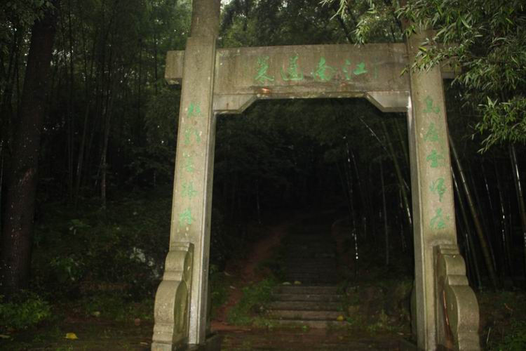 照片 246.jpg