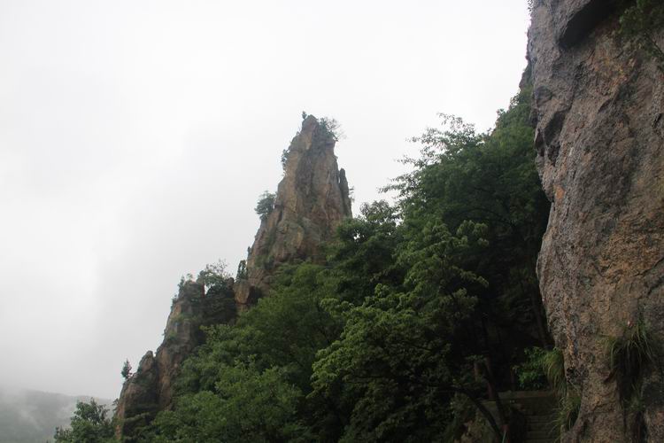 照片 295.jpg