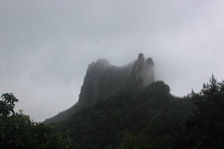照片 298.jpg