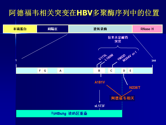 2011-07-18_081105.png