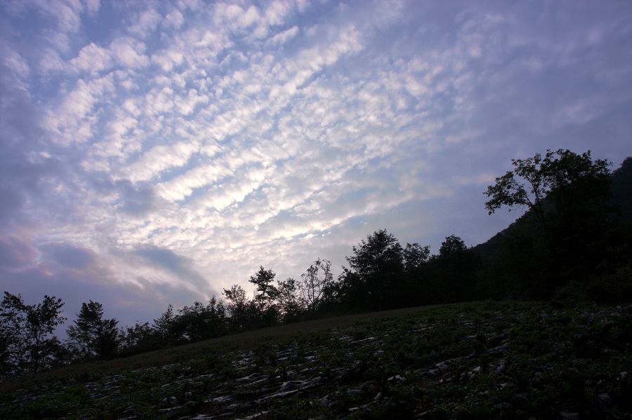 20081006_a51b71b4c378b441eeffR1p5FY0zm0if.jpg