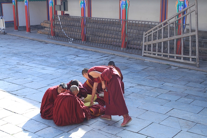 15.塔尔寺辩经四