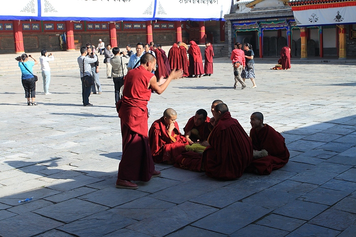 13.塔尔寺辩经二