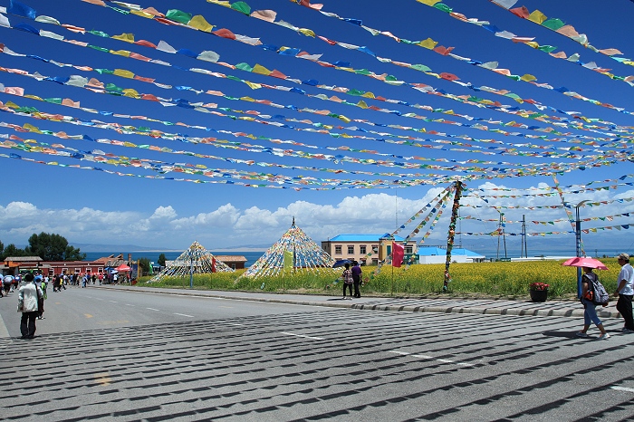 11.青海湖欢迎你
