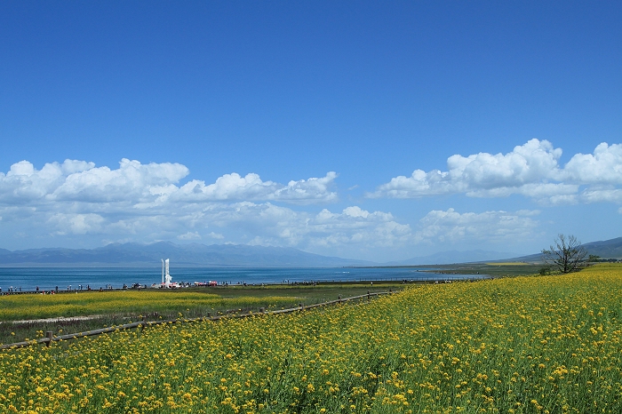 10.青海湖畔