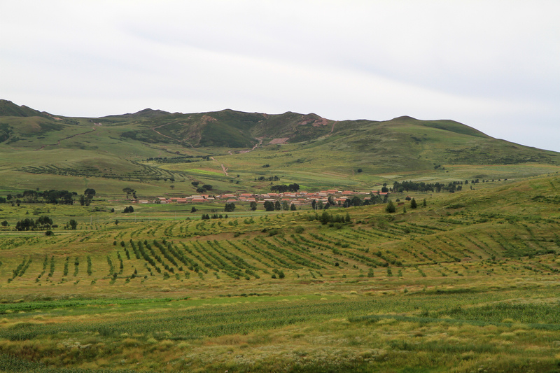 IMG_7253.jpg