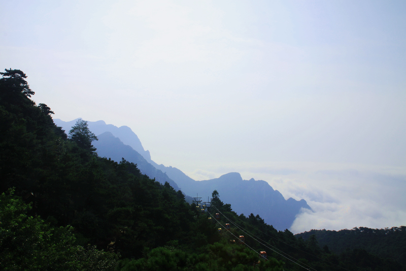 IMG_0422-1-2.jpg
