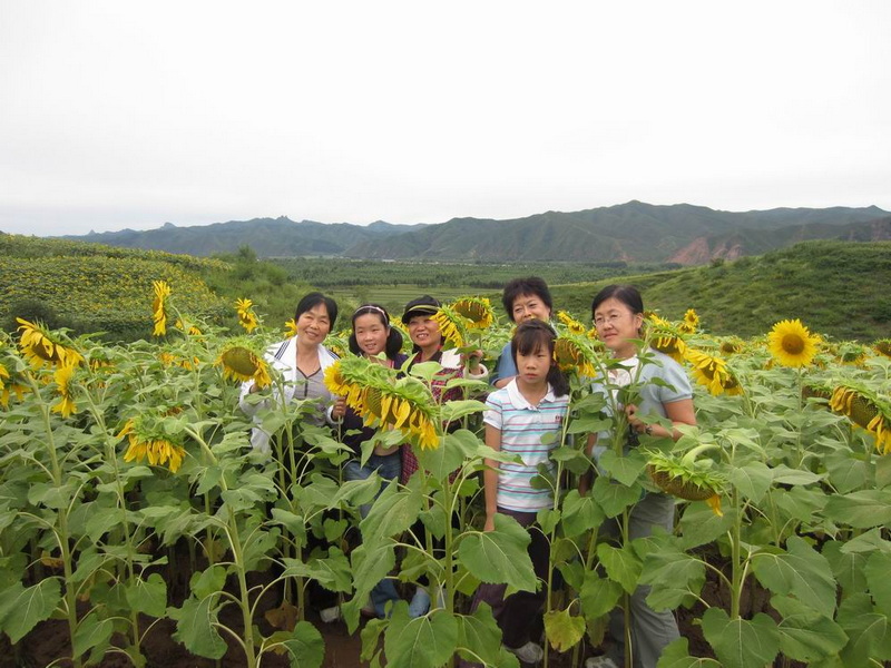 我们都是向阳花.jpg
