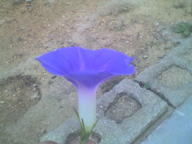 30-08-08_0608.jpg