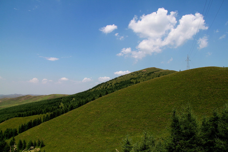 IMG_6613.JPG