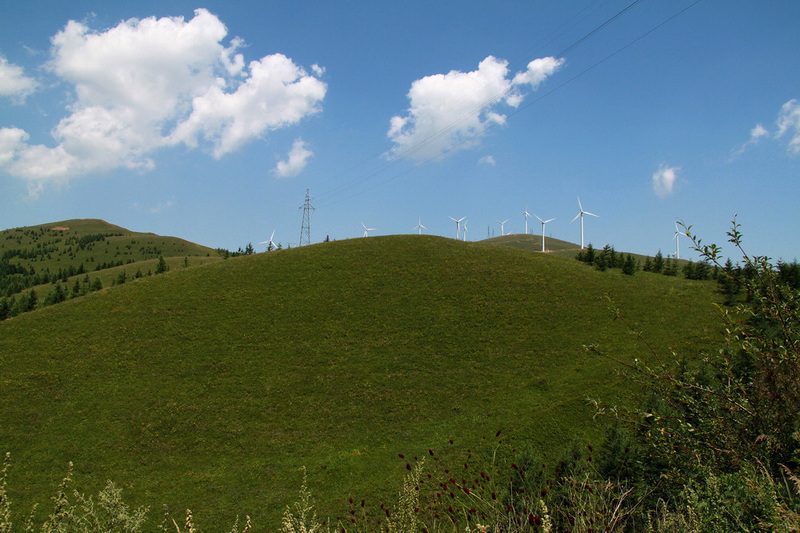 IMG_6615.JPG