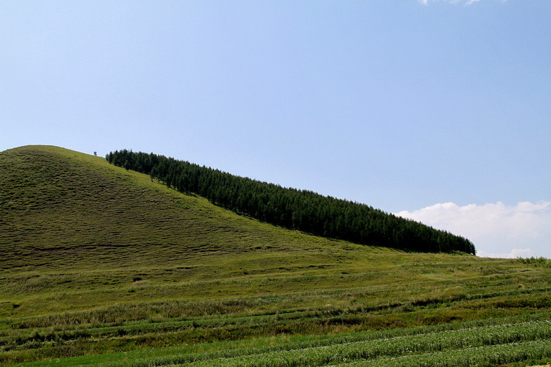 IMG_6665.JPG