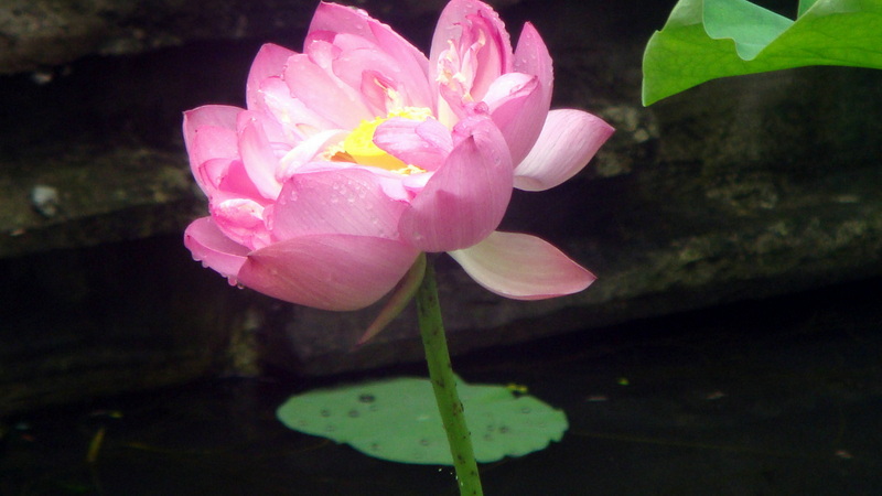 DSC01248.JPG